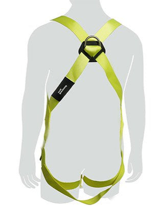 Rear View of Miller H100 2 Point Harness